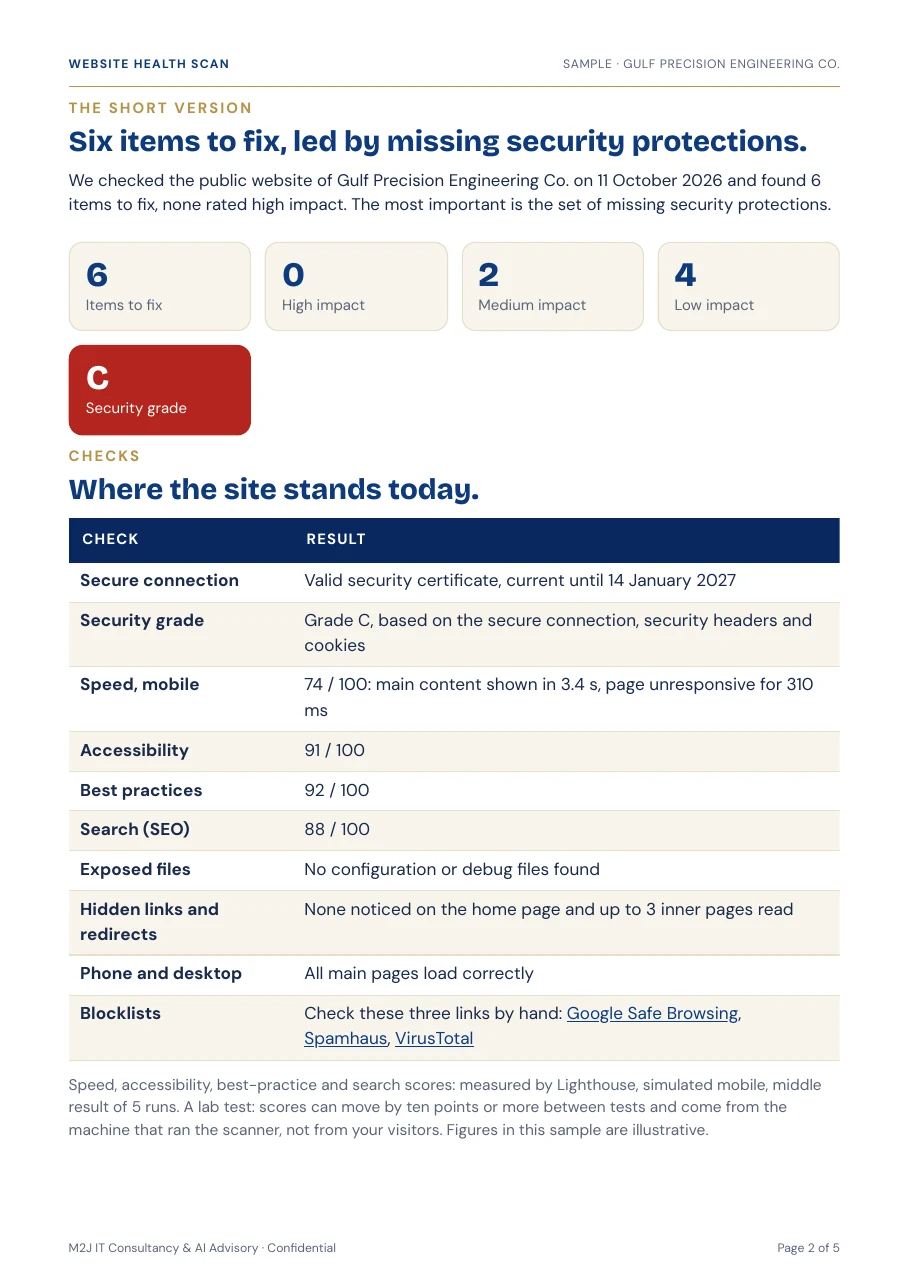 Sample Website Health Scan report page